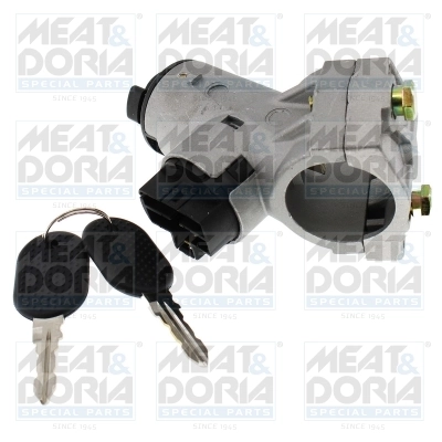 Steering Lock
